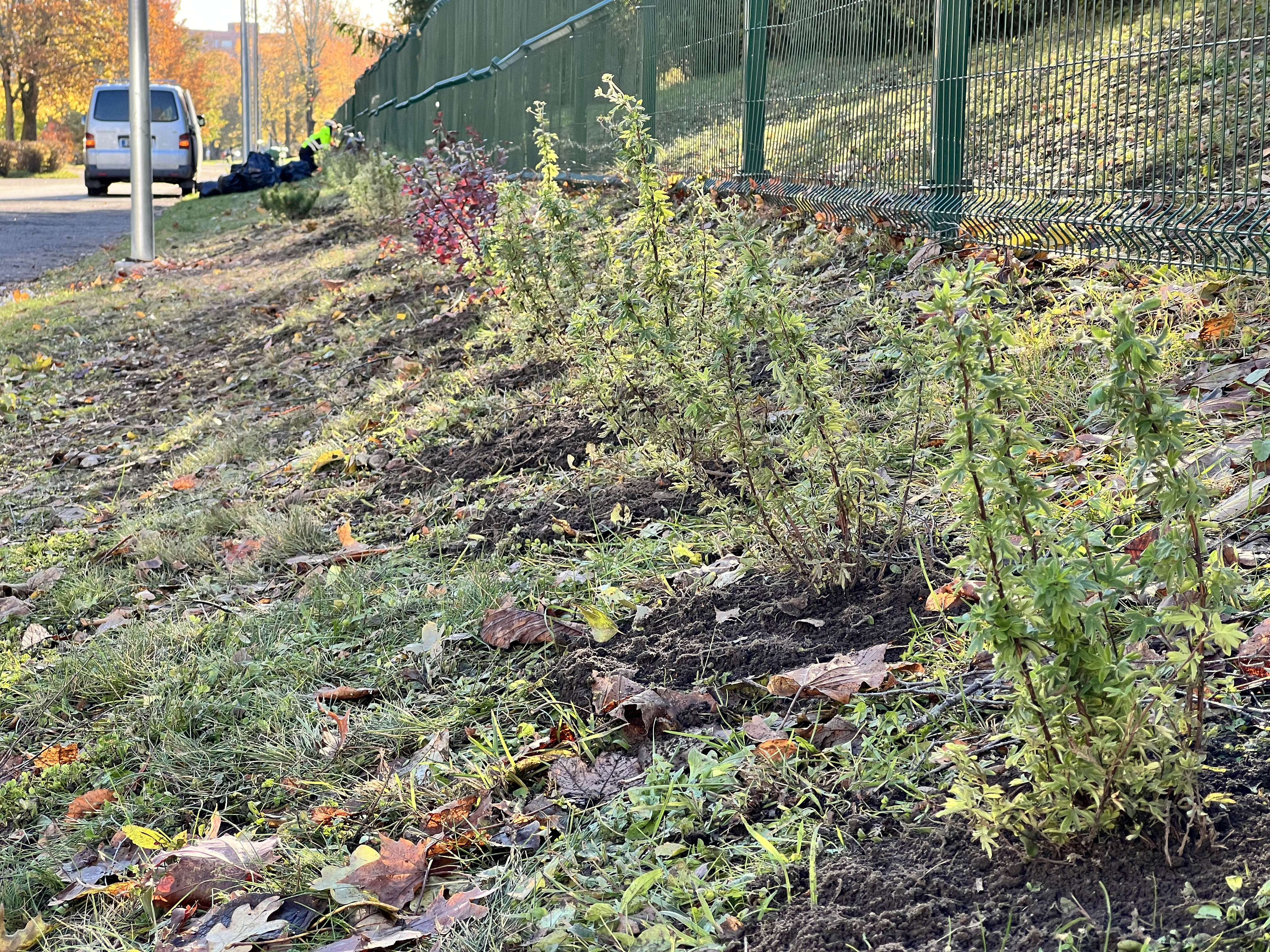 Elurikkuse suurendamine