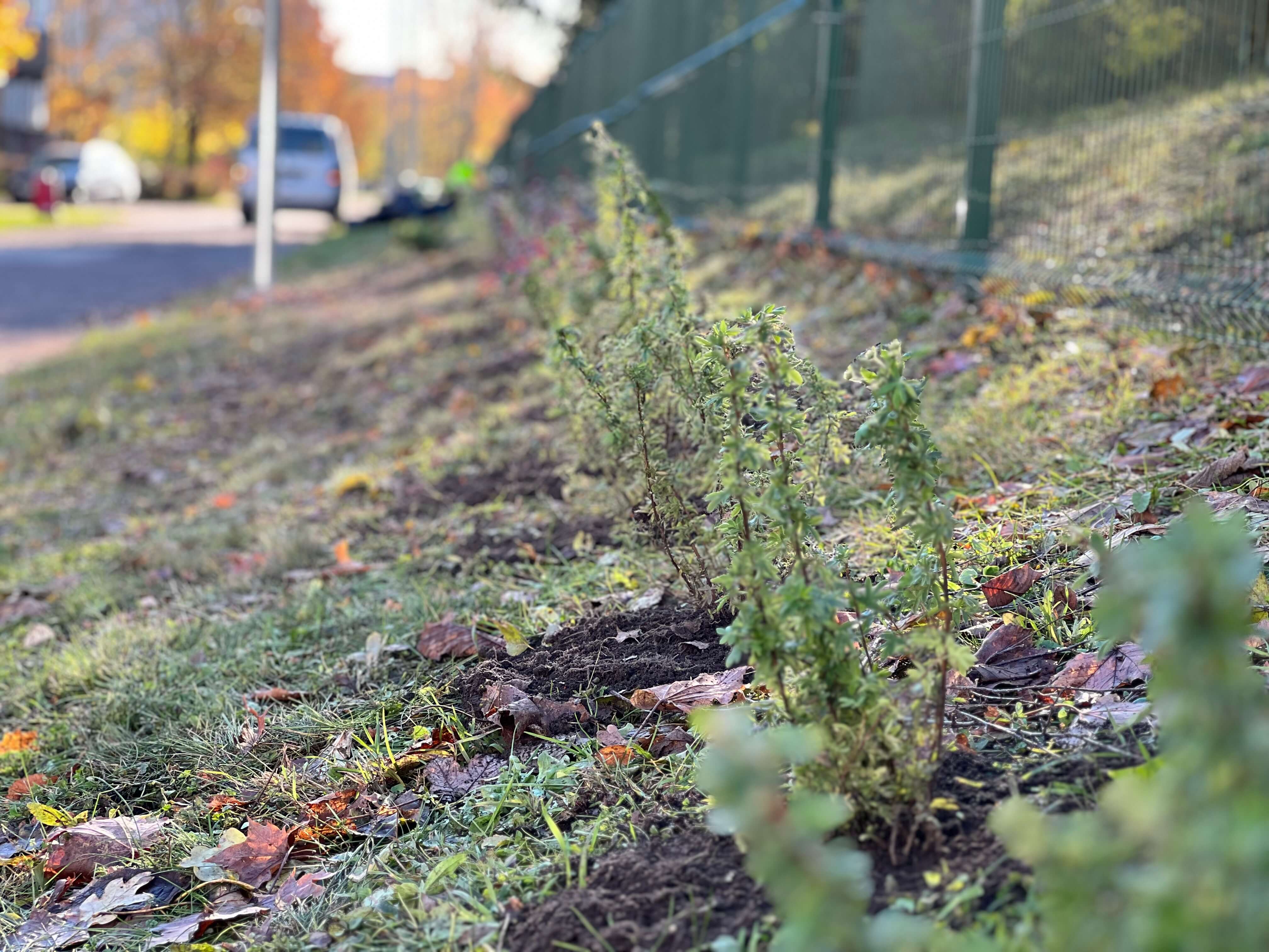 Increasing biodiversity