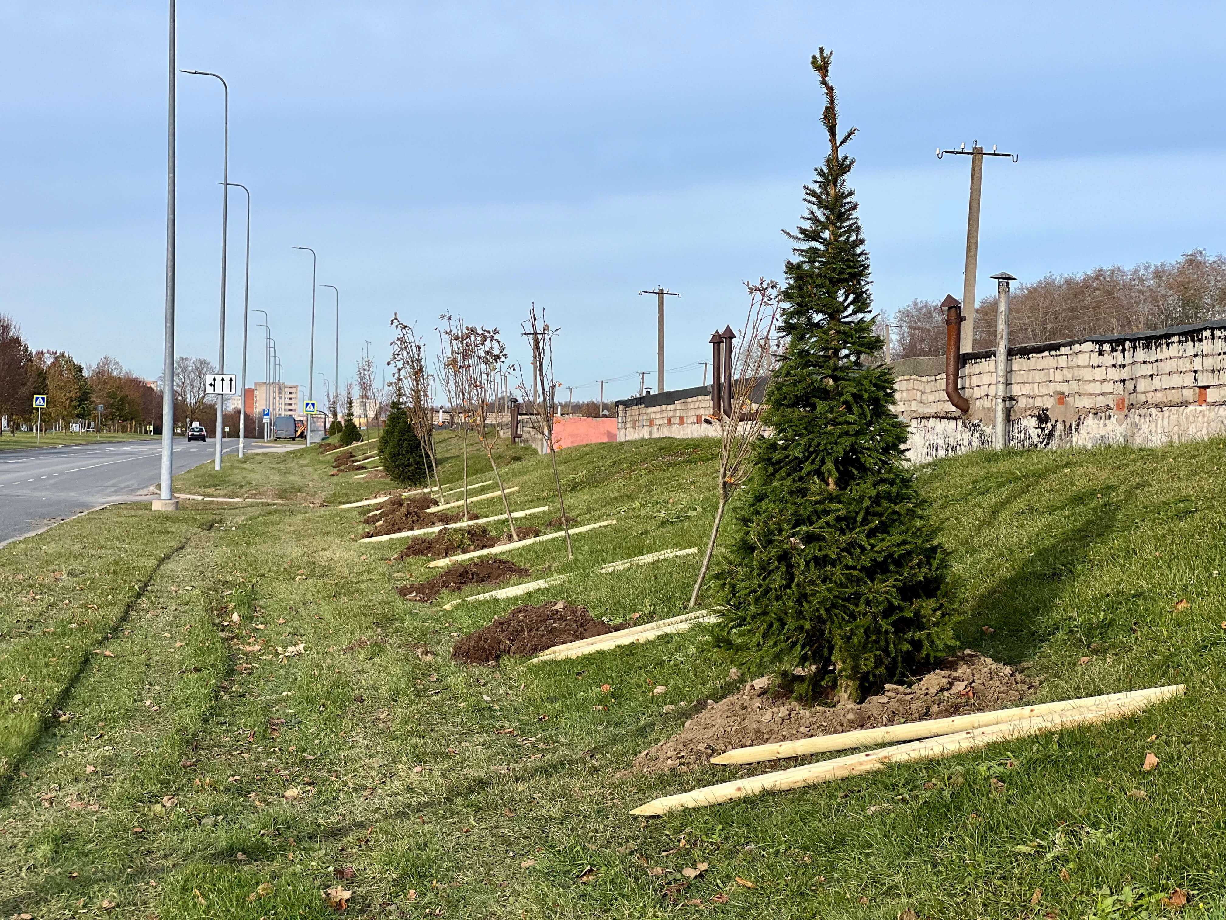 Kohtla-Järve rohepööre